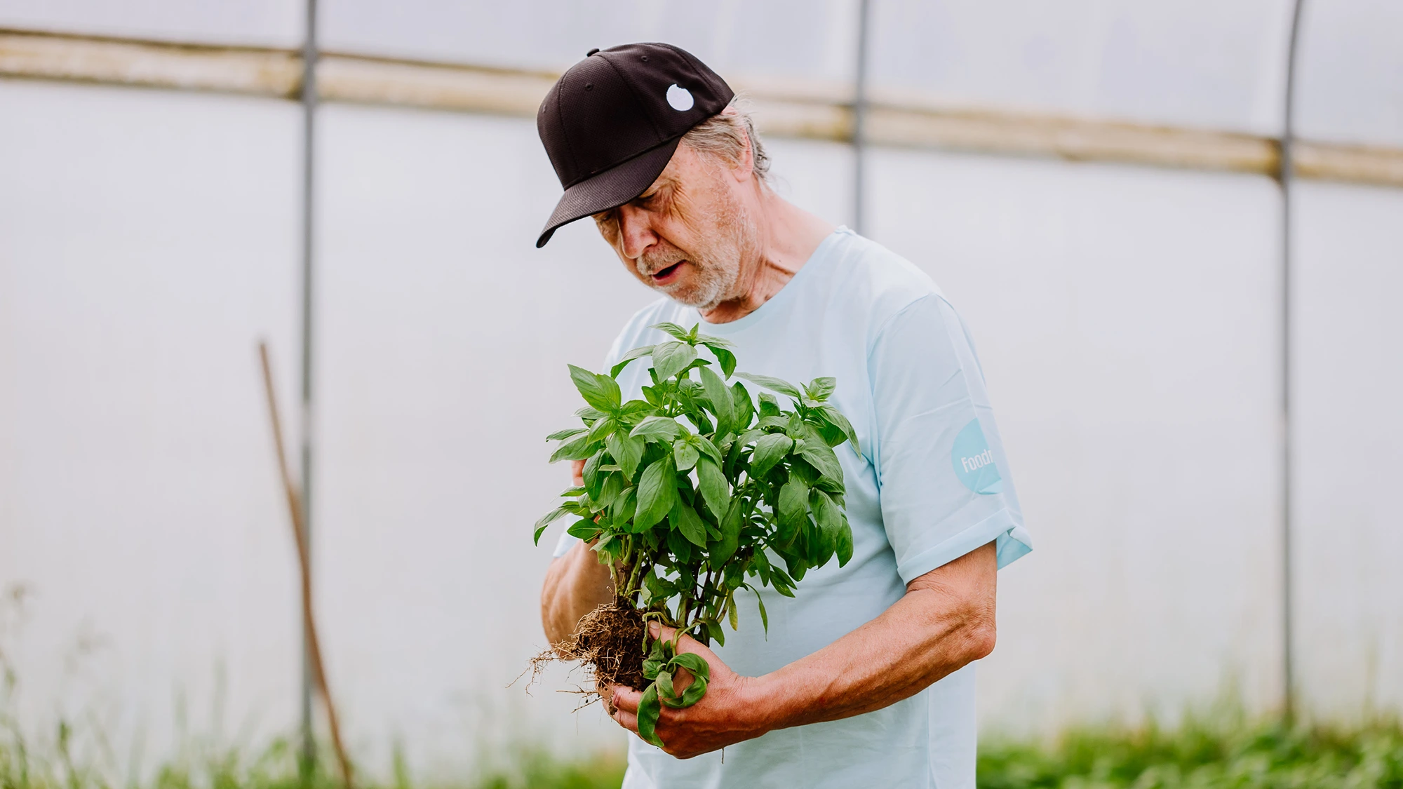 Farmer inspecting organic produce, ensuring natural ingredients.